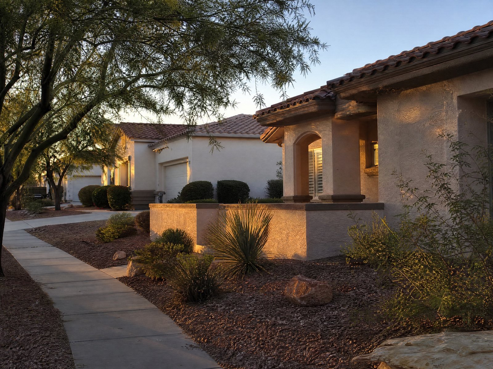 Tree lined Las Vegas residential street with neighborhood homes at golden hour